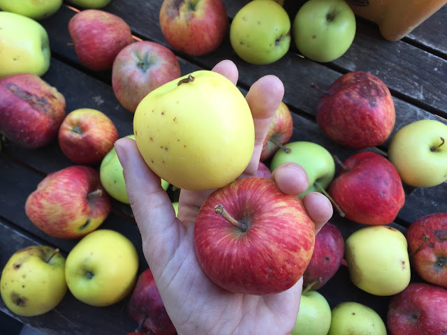 receta-de-otoño-de-crumble-de-manzana